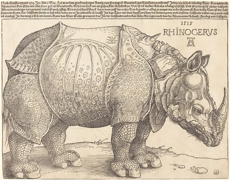 The Rhinoceros by Albrecht Dürer, 1512