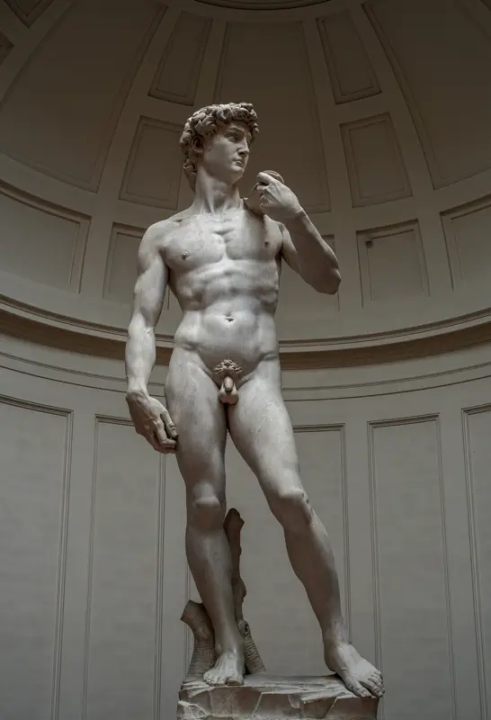 David by Michelangelo, 1500